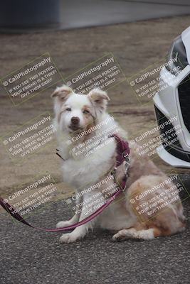 media/Jan-17-2026-VARA University (Sat) [[0e7bc3e19f]]/Around the Pits/